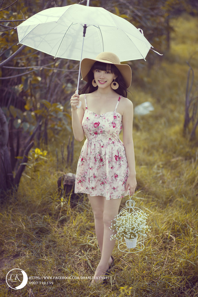 电视剧《节妇》在线观看